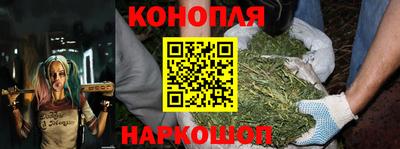гидра Аша