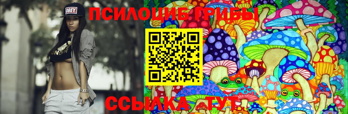 Псилоцибиновые грибы Psilocybine cubensis Владикавказ