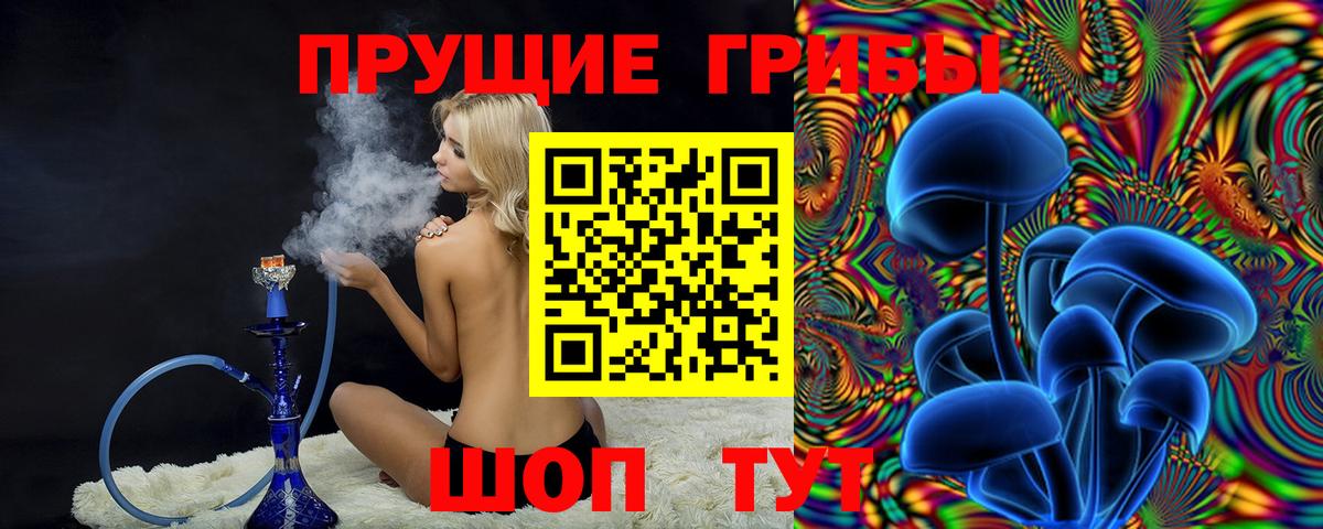 Галлюциногенные грибы Cubensis  Вход с VPN  Владикавказ 