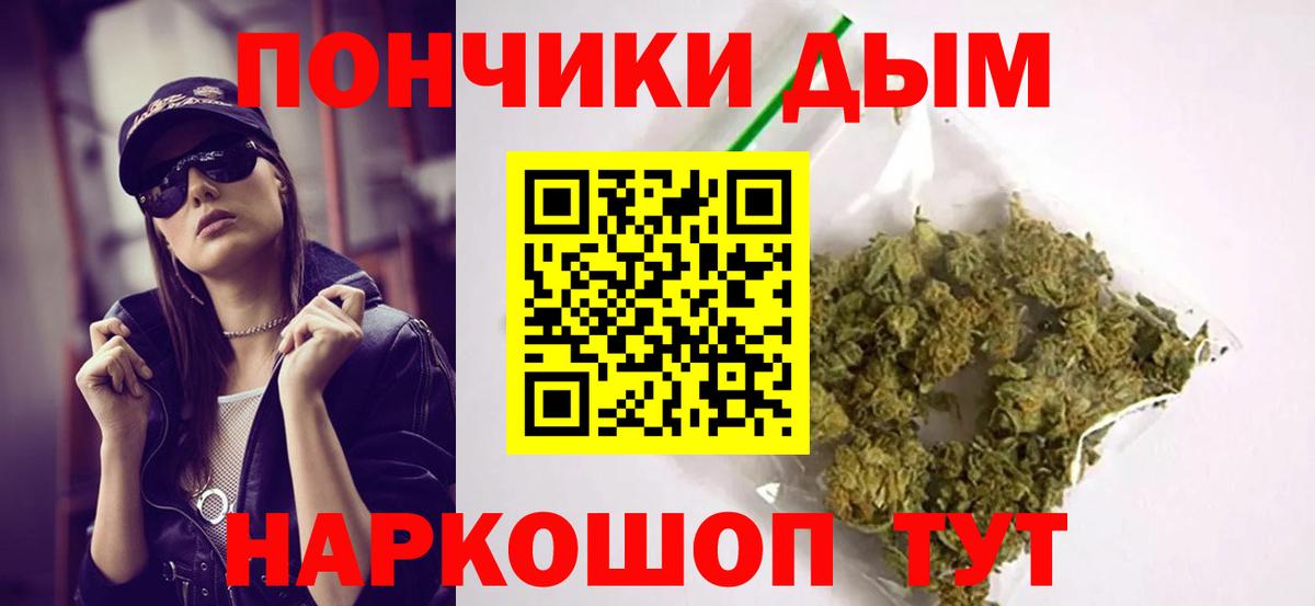 Шишки марихуана конопля Владикавказ